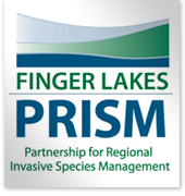 Request for Bids- Aquatic Herbicide Treatment of Water Chestnut in the Finger Lakes PRISM Region