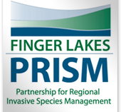 FL-PRISM Call for Proposals FL-PRISM Call for Proposals