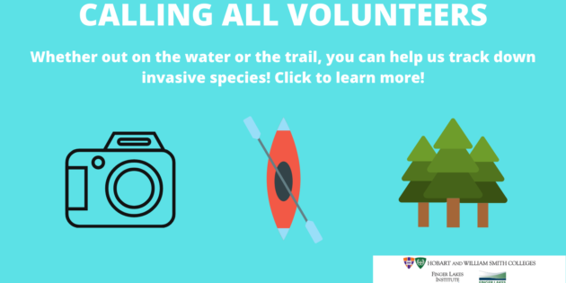 Join Us in Helping Find Invasive Species!