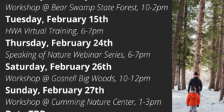 Join us at our upcoming workshops!