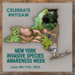 New York Invasive Species Awareness Week! (June 5th-June11th)