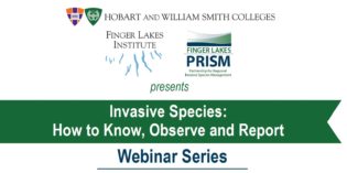 Invasive Species Activity Guide Presentation Available