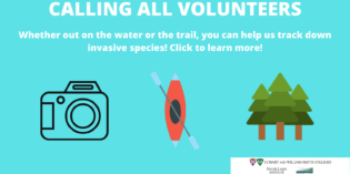 Join Us in Helping Find Invasive Species!