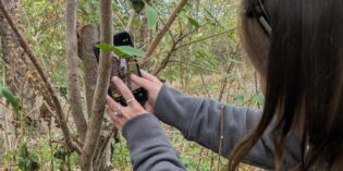 2025 Trail Survey Program – Season Recap