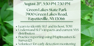 Coming Soon – Spotted Lanternfly and Tree-of-Heaven Workshop